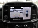 2023 F-150 Thumbnail 12
