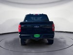 2023 F-150 Thumbnail 4