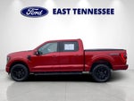 2023 F-150 Thumbnail 6