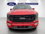 2023 F-150 Thumbnail 9