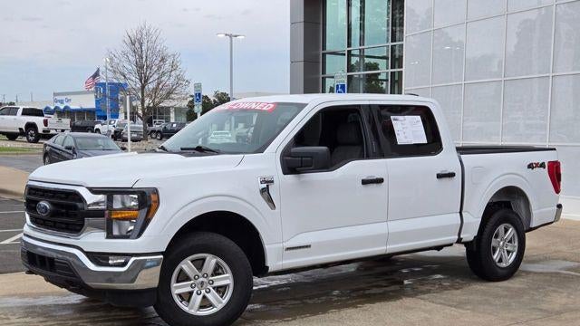 Preowned 2023 Ford F-150 XLT for Sale