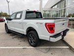 2023 F-150 Thumbnail 3