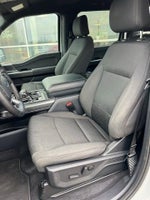 2023 F-150 Thumbnail 13