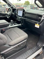 2023 F-150 Thumbnail 16