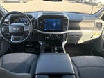 2023 F-150 Thumbnail 12