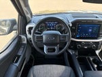 2023 F-150 Thumbnail 13