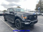 2023 F-150 Thumbnail 4