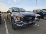 2023 F-150 Thumbnail 4