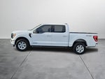 2023 F-150 Thumbnail 3