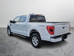 2023 F-150 Thumbnail 4