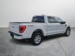 2023 F-150 Thumbnail 5