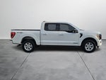 2023 F-150 Thumbnail 6
