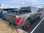 2023 F-150 Thumbnail 4