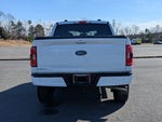 2023 F-150 Thumbnail 5