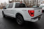 2023 F-150 Thumbnail 12