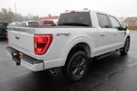 2023 F-150 Thumbnail 13