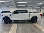 2023 F-150 Thumbnail 16