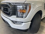 2023 F-150 Thumbnail 18