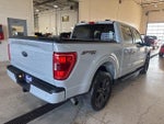 2023 F-150 Thumbnail 5