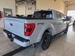 2023 F-150 Thumbnail 5