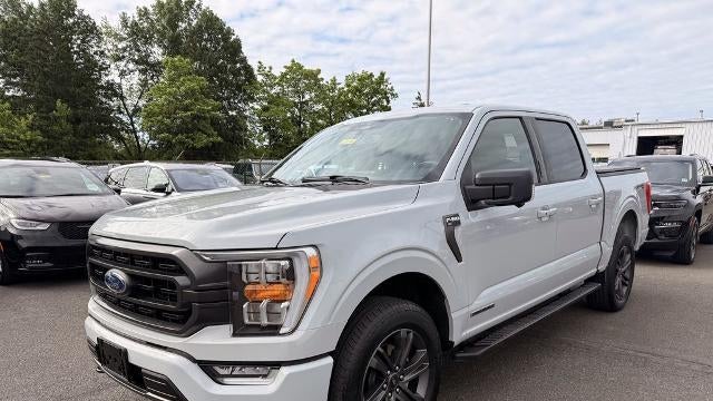 Preowned 2023 Ford F-150 XL for Sale