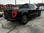 2023 F-150 Thumbnail 4
