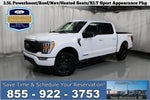 2023 F-150 Thumbnail 1