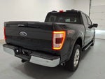 2021 F-150 Thumbnail 3