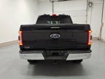 2021 F-150 Thumbnail 4