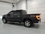 2021 F-150 Thumbnail 6