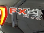 2021 F-150 Thumbnail 11