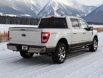 2021 F-150 Thumbnail 6