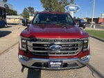 2021 F-150 Thumbnail 3