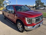 2021 F-150 Thumbnail 4