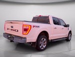 2021 F-150 Thumbnail 7