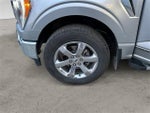 2021 F-150 Thumbnail 14