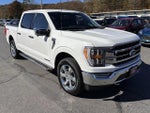 2021 F-150 Thumbnail 4