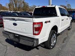 2021 F-150 Thumbnail 6