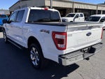 2021 F-150 Thumbnail 8