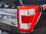 2021 F-150 Thumbnail 5