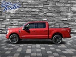 2022 F-150 Thumbnail 6