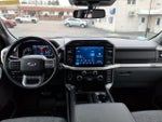 2022 F-150 Thumbnail 14