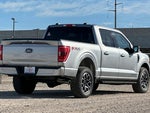 2022 F-150 Thumbnail 4