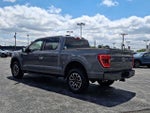 2022 F-150 Thumbnail 4