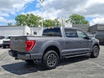 2022 F-150 Thumbnail 6
