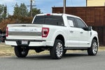 2023 F-150 Thumbnail 4