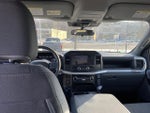 2023 F-150 Thumbnail 10