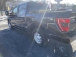 2023 F-150 Thumbnail 11