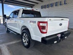 2023 F-150 Thumbnail 8