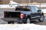 2023 F-150 Thumbnail 10